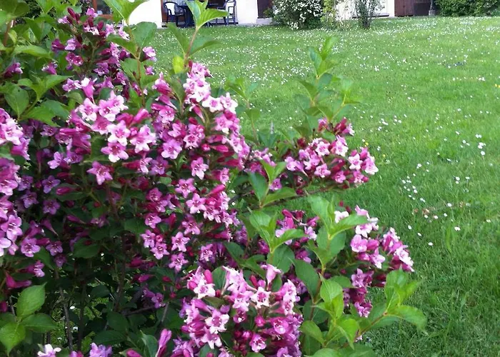 Front Slope Appartement *