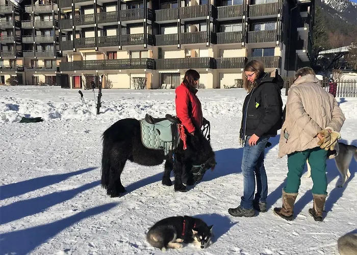 Front Slope דירה *